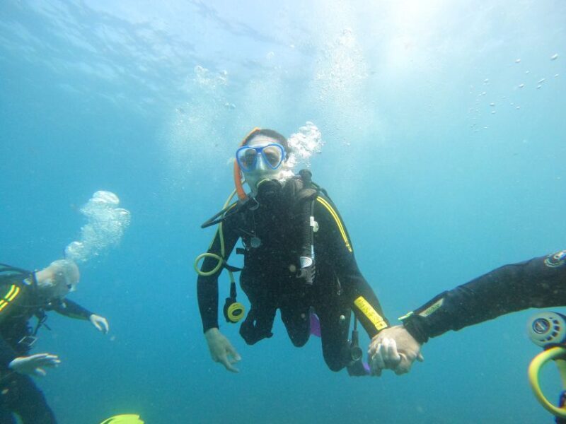 Tenerife: Your First Scuba Diving Experience in Turtle Area - Who Is This Tour Best Suited For?