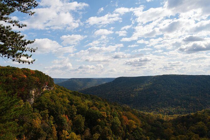 Tennessee Fall Colors Hiking Tour - A Closer Look at the Tennessee Fall Colors Hiking Tour