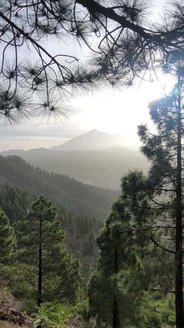 Teno: Circular hike from Erjos over the mountain ridge with views of Masca - Who Would Love This Tour?