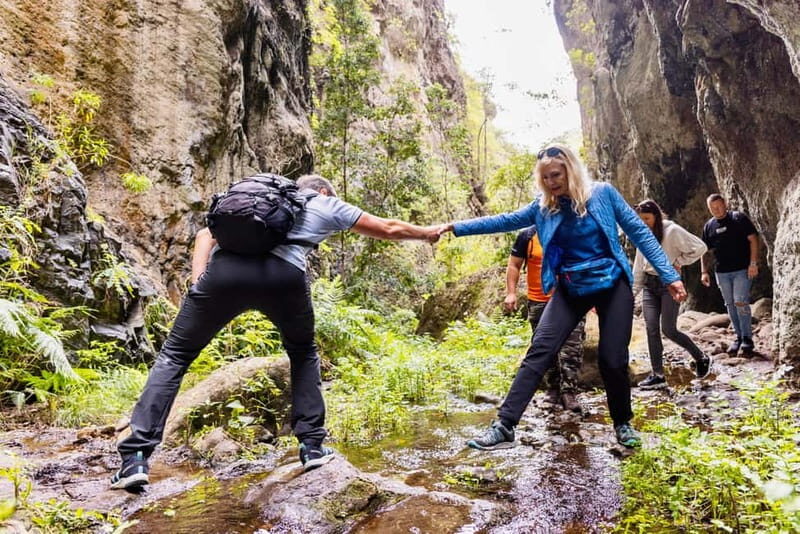 Teno Waterfalls Hiking Tour: Tropical Jungle Adventure - Key Points