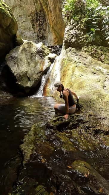 Teno Waterfalls Hiking Tour: Tropical Jungle Adventure - A Deep Dive into the Experience
