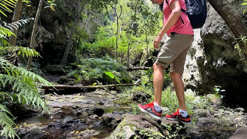 Teno Waterfalls Hiking Tour: Tropical Jungle Adventure - Final Thoughts