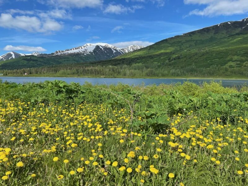 Tent city Anchorage and wonderful surroundings 3 hrs tour - FAQs