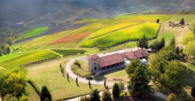 Tenuta Bonzara - Tour and wine tasting in the Bolognese Hills - Key Points: