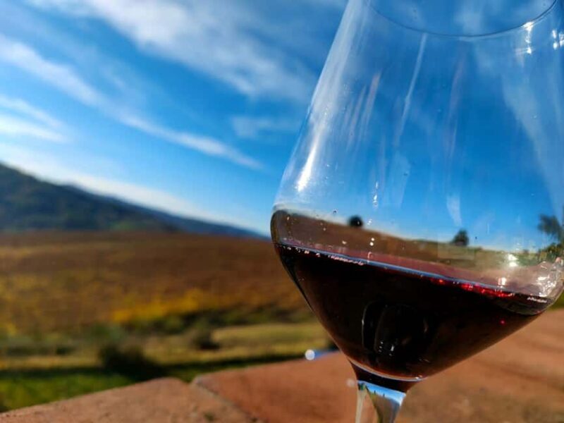 Tenuta Bonzara - Tour and wine tasting in the Bolognese Hills - An Honest Look at What to Expect from the Bonzara Experience