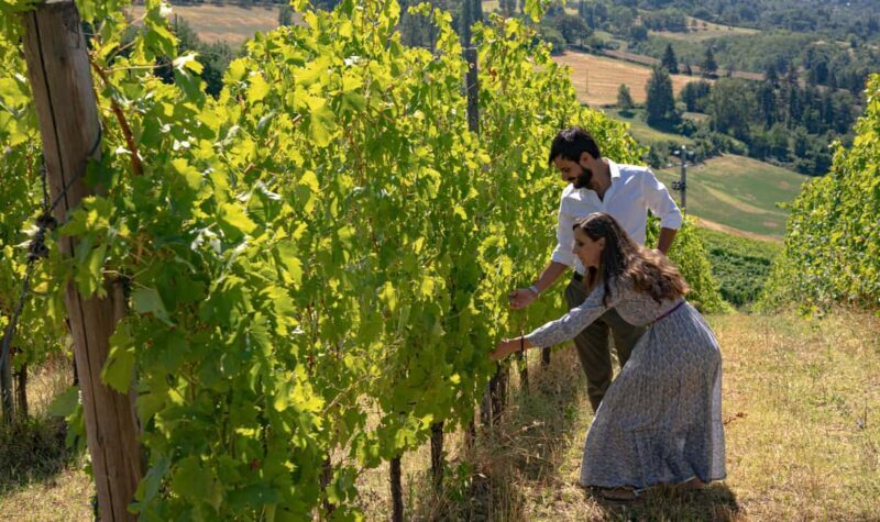 Tenuta Bonzara - Tour and wine tasting in the Bolognese Hills - The View and Atmosphere
