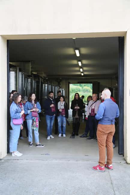 Tenuta Bonzara - Tour and wine tasting in the Bolognese Hills - Practical Details and Booking