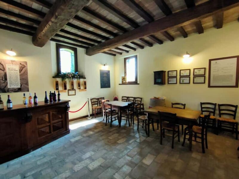Tenuta Bonzara - Tour and wine tasting in the Bolognese Hills - What Do the Reviews Say?