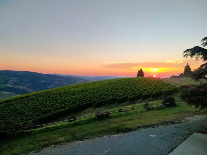 Tenuta Bonzara - Tour and wine tasting in the Bolognese Hills - Final Thoughts