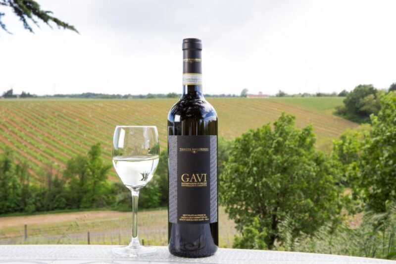 Tenuta San Lorenzo: Wine & Food Tasting Experience - Key Points