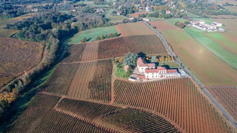 Tenuta San Lorenzo: Wine & Food Tasting Experience - Final Thoughts