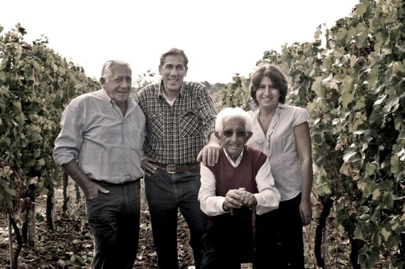 Tenuta San Lorenzo: wine tasting and winery tour - What Youll Learn