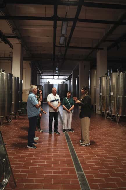 Tenute Girolamo: Winery Tour and Deluxe Tasting in the Itria Valley - The Setting and Facility
