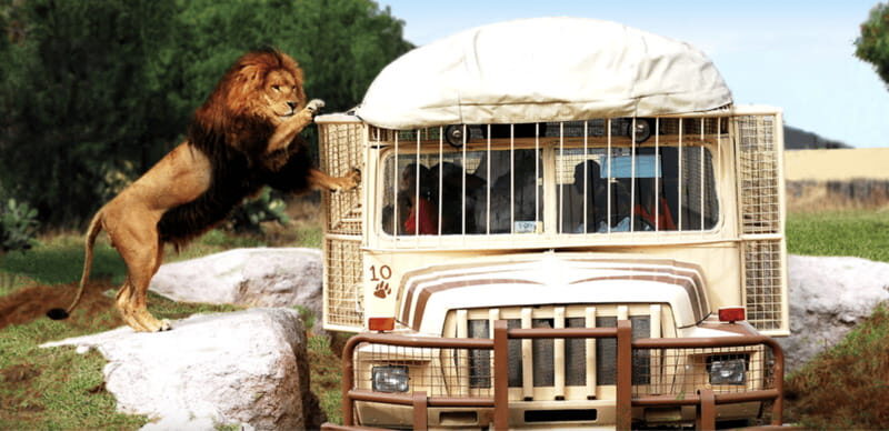 Teotihuacan: Entrance to Animal Kingdom Park; Adventure & Nature - What You Can Expect During Your Day