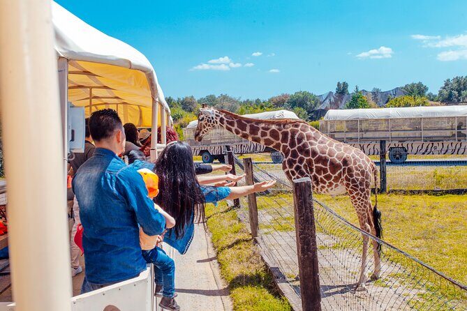 Teotihuacán for kids - Who Will Love This Tour?