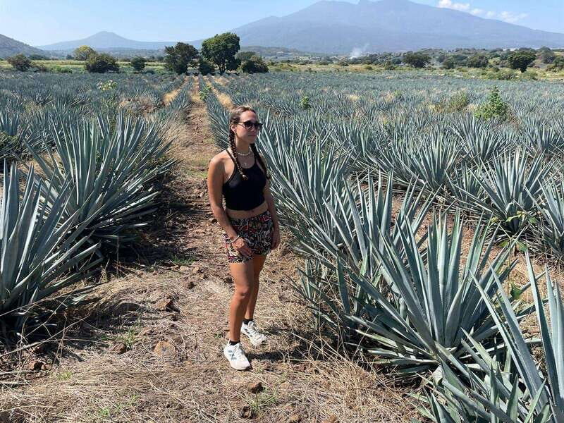 Tequila and Cantaritos Tour from Guadalajara - An Honest Look at the Tour Experience