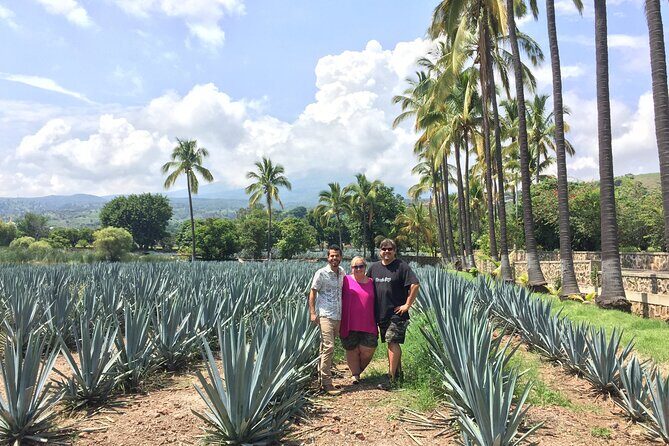 Tequila and Guachimontones Full Day Private Tour - Final Thoughts