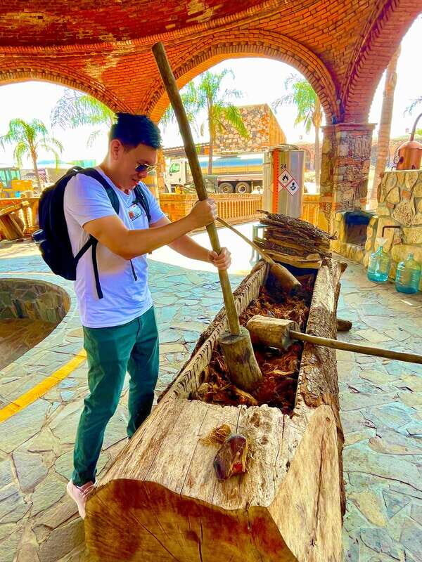 Tequila and Guachimontones: Private Full Day Tour - Key Points