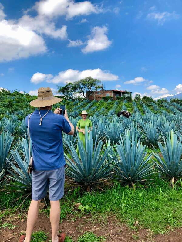 Tequila and Guachimontones: Private Full Day Tour - An Honest Look at the Full-Day Tour