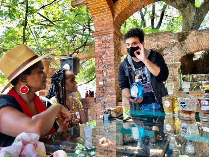 Tequila and Guachimontones: Private Full Day Tour - Frequently Asked Questions