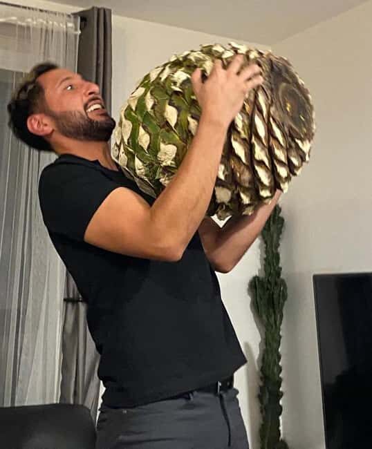 Tequila and Mezcal tasting in an educational tasting room - An In-Depth Look at the Experience