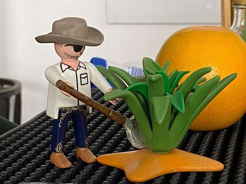 Tequila and Mezcal tasting in an educational tasting room - Who Will Love This Tour?