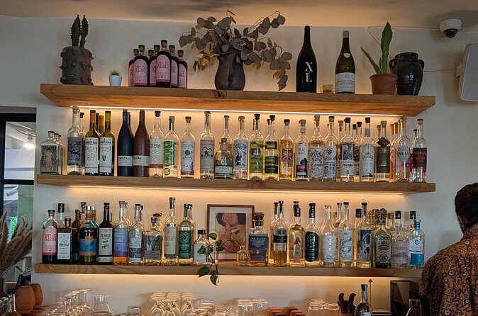 Tequila and Mezcal Tasting in DC - Who Should Book This Experience?