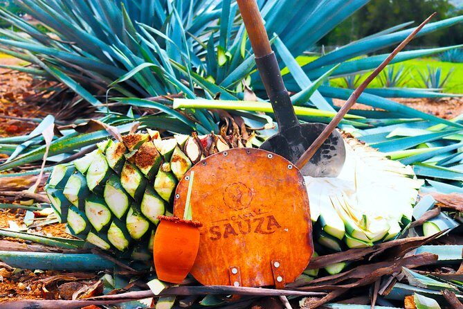 Tequila Express - Key Points