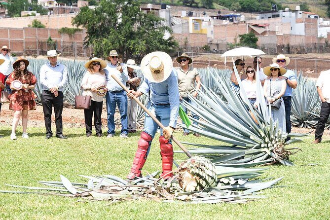 Tequila Express Round Trip by Train - An In-Depth Look at the Tour