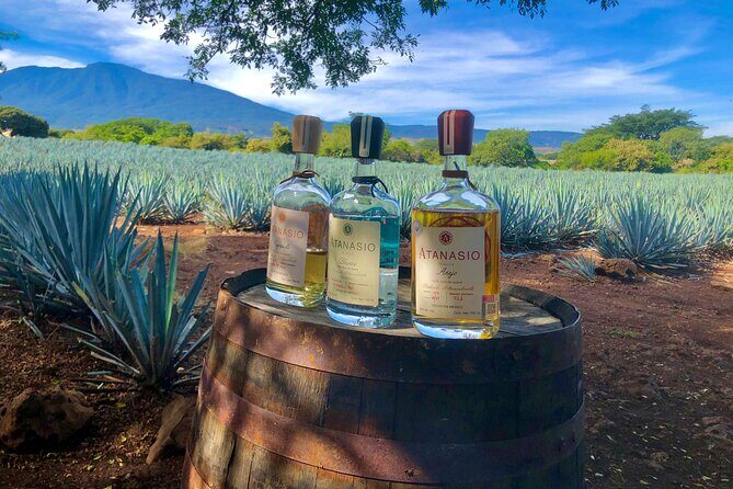 Tequila Full Experience! - Key Points