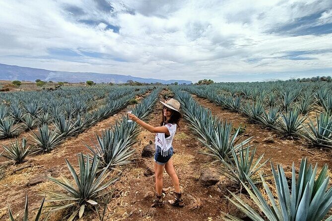 Tequila Full Experience! - Final Thoughts