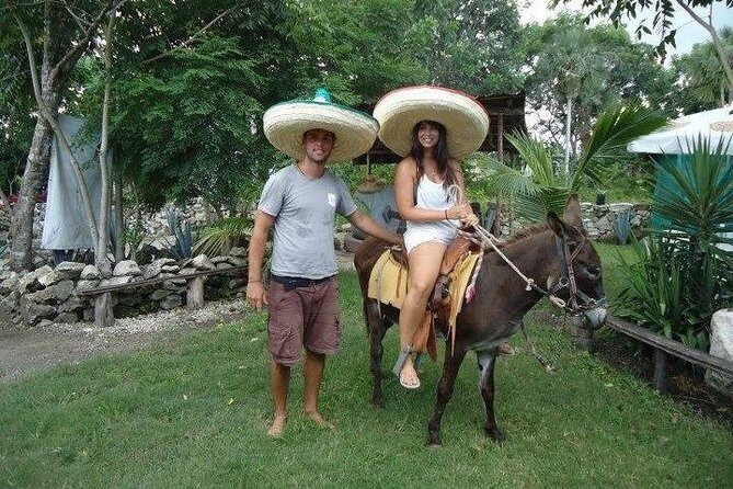 Tequila History and Tasting Experience and Unlimited Beach Break - Honest Insights from Reviews