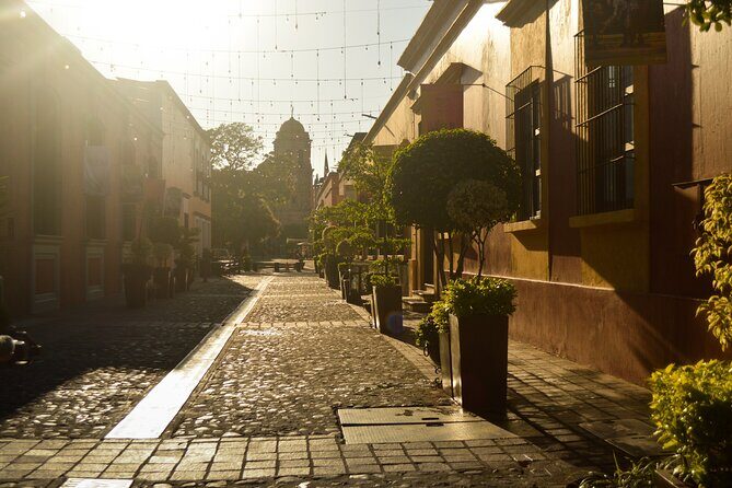 Tequila José Cuervo Tasting Guided Tour from Puerto Vallarta - Additional Considerations