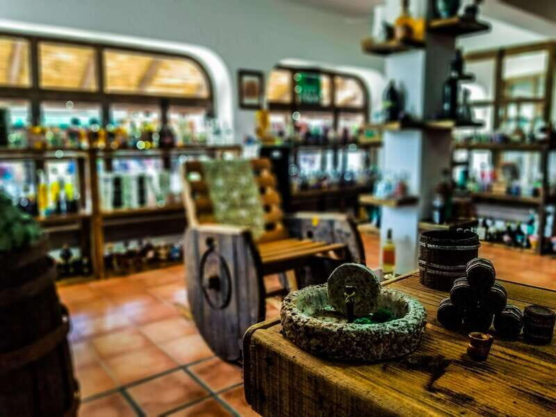 Tequila & Mezcal Tasting Experience - The Experience in Detail