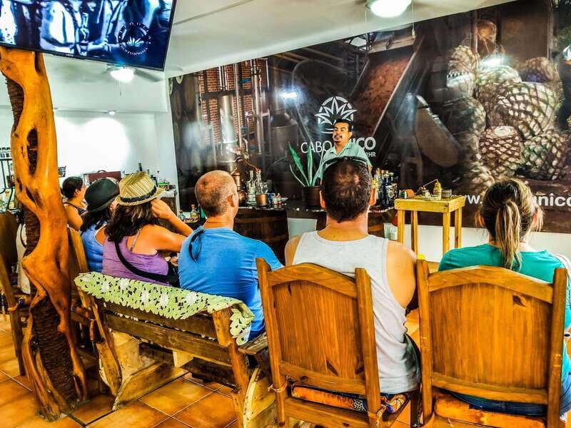 Tequila & Mezcal Tasting Experience - How Do Reviews Reflect the Experience?