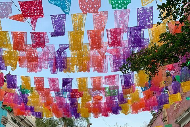 Tequila Premium Tour Destination Agave - What’s Included and What You Should Know