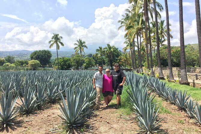 Tequila: Private Half-Day Tour - FAQs