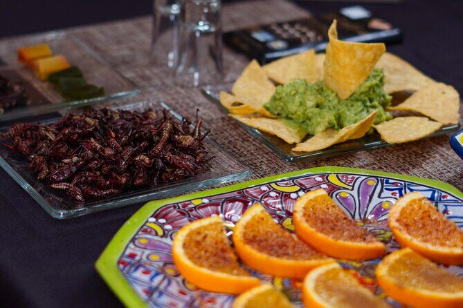 Tequila Tasting & Cocktail Workshop at Tequila Lighthouse - Cabo - What to Expect from the Experience