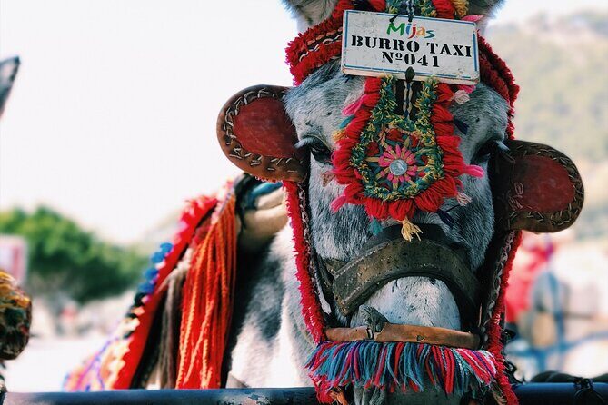 Tequila to Guadalajara - Private Transfer with English-speaking driver - Price and Value: Is It Worth It?