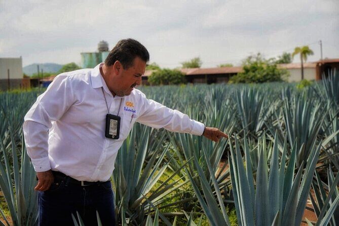 Tequila Tour - An Honest Look at the Tequila Tour Experience