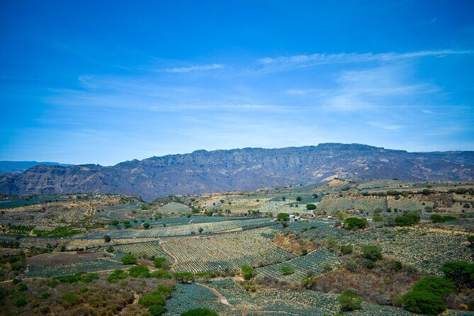 Tequila tour with tasting. - Final Thoughts: Is This Tour Right for You?