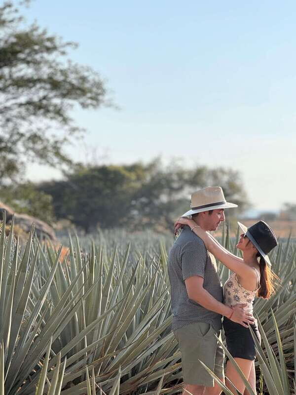 Tequila: Town and Distillery Guided Tour with Tastings - Who Is This Tour For?