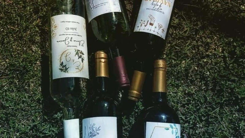 Tequisquiapan: UTV Adventure with Winery and Cheese Tasting - Key Points