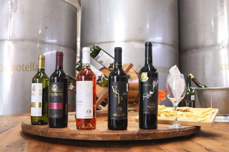 Tequisquiapan: UTV Adventure with Winery and Cheese Tasting - A Closer Look at the Experience