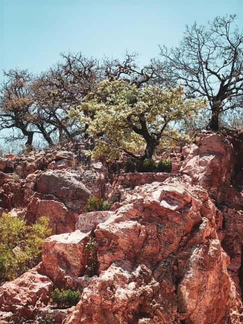 Tequisquiapan: UTV Tour to Opal Mine with Art Workshop - Who Will Love This Tour?