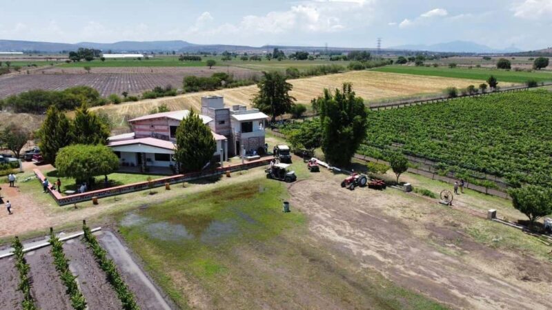 Tequisquiapan: UTV Tour with Wine Tasting and Cheese Pairing - Key Points