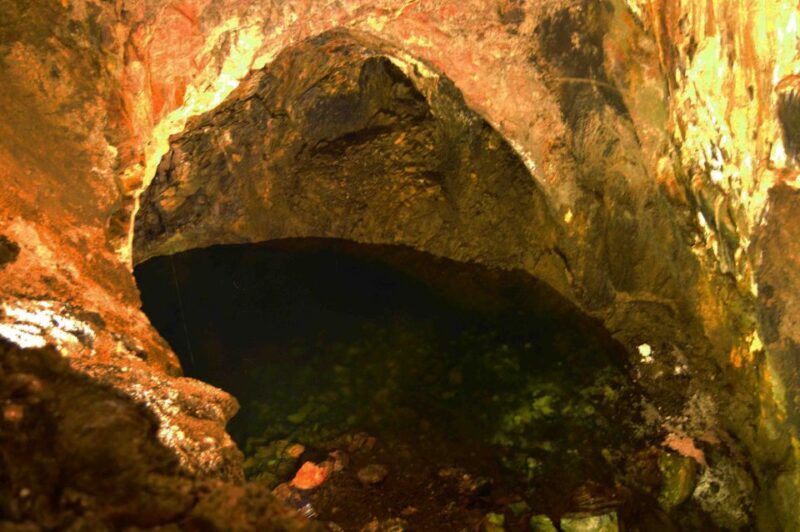 Terceira: Half-Day Island Tour with Cheese Tasting - What We Think About the Value