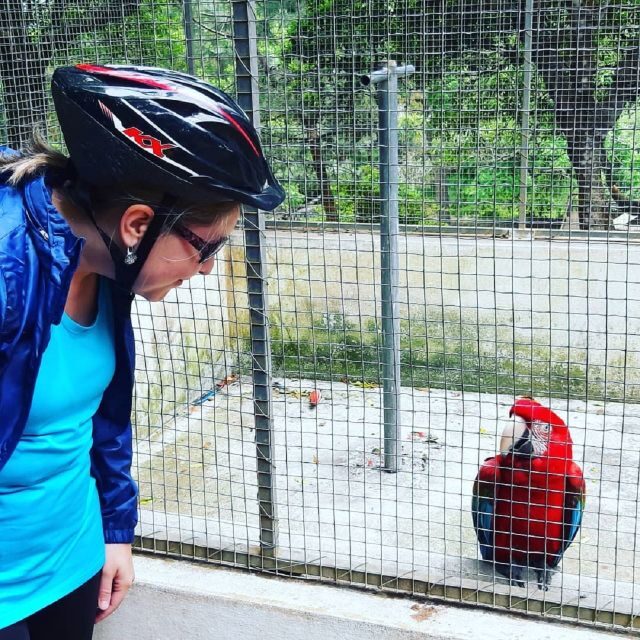 Terceira Island : Electric Bike Tour Monte Brasil - Key Points