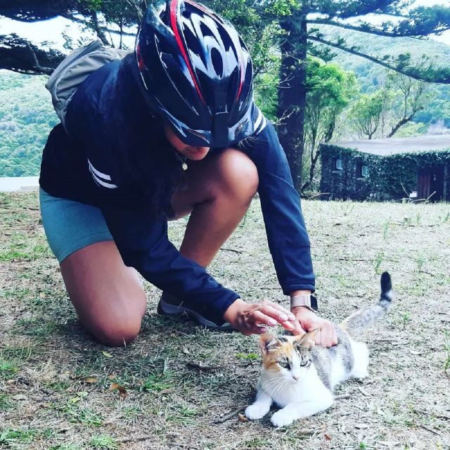 Terceira Island : Electric Bike Tour Monte Brasil - Final Thoughts