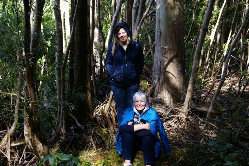 Terceira Island: Full-Day Mud Adventure & Traditional Lunch - The Itinerary: What to Expect from Start to Finish